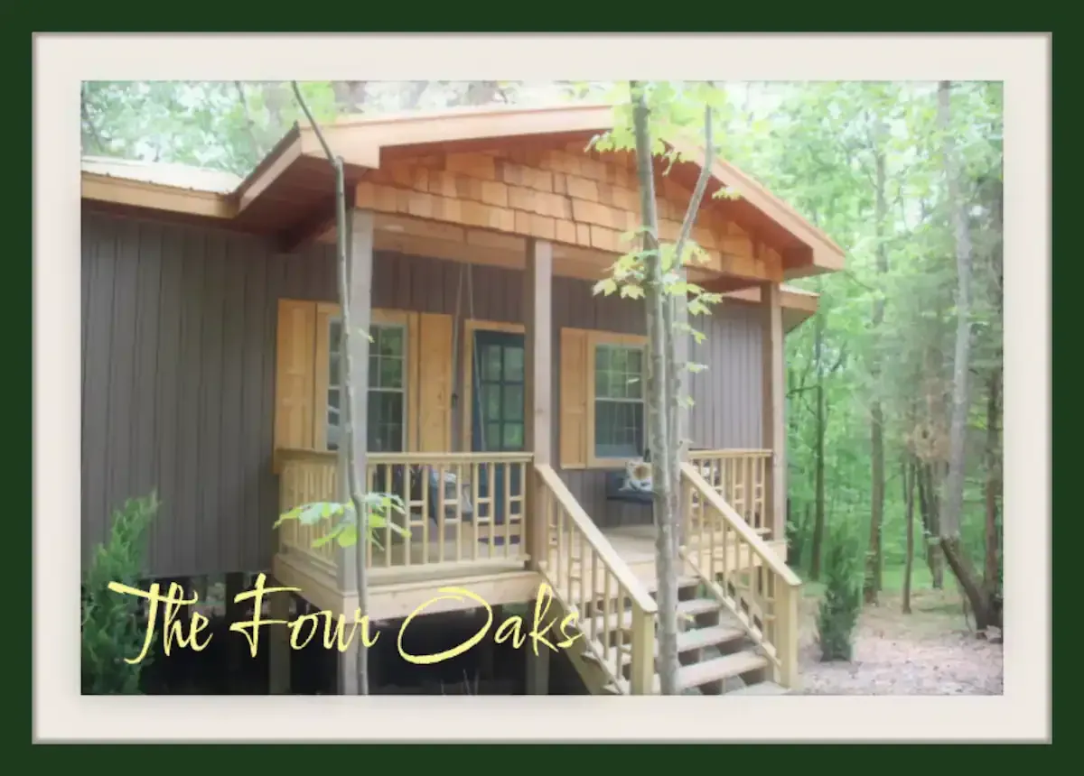 Nature Loft Woodland Retreat Rentals