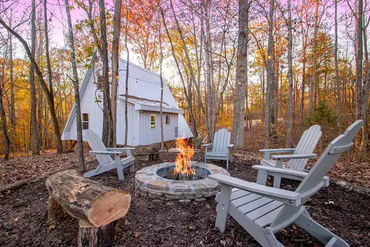 Dog Wood Tree Loft Rental