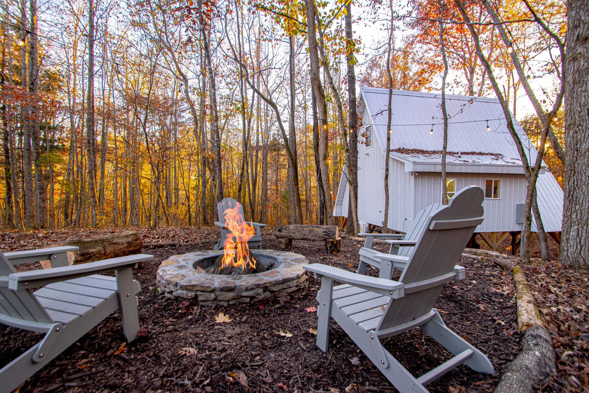 Dog Wood Tree Loft Rental
