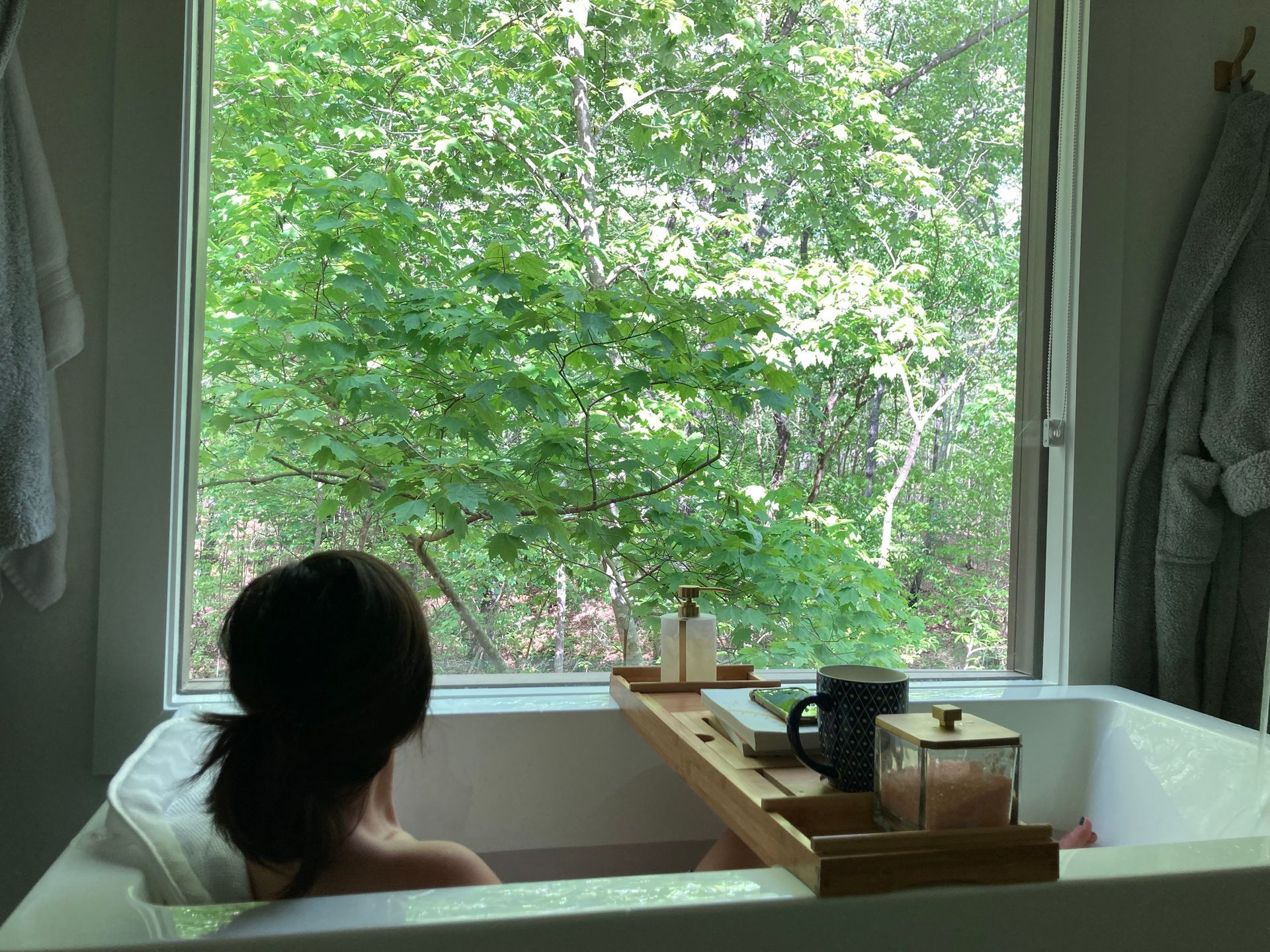 Nature Loft Woodland Retreat Rentals