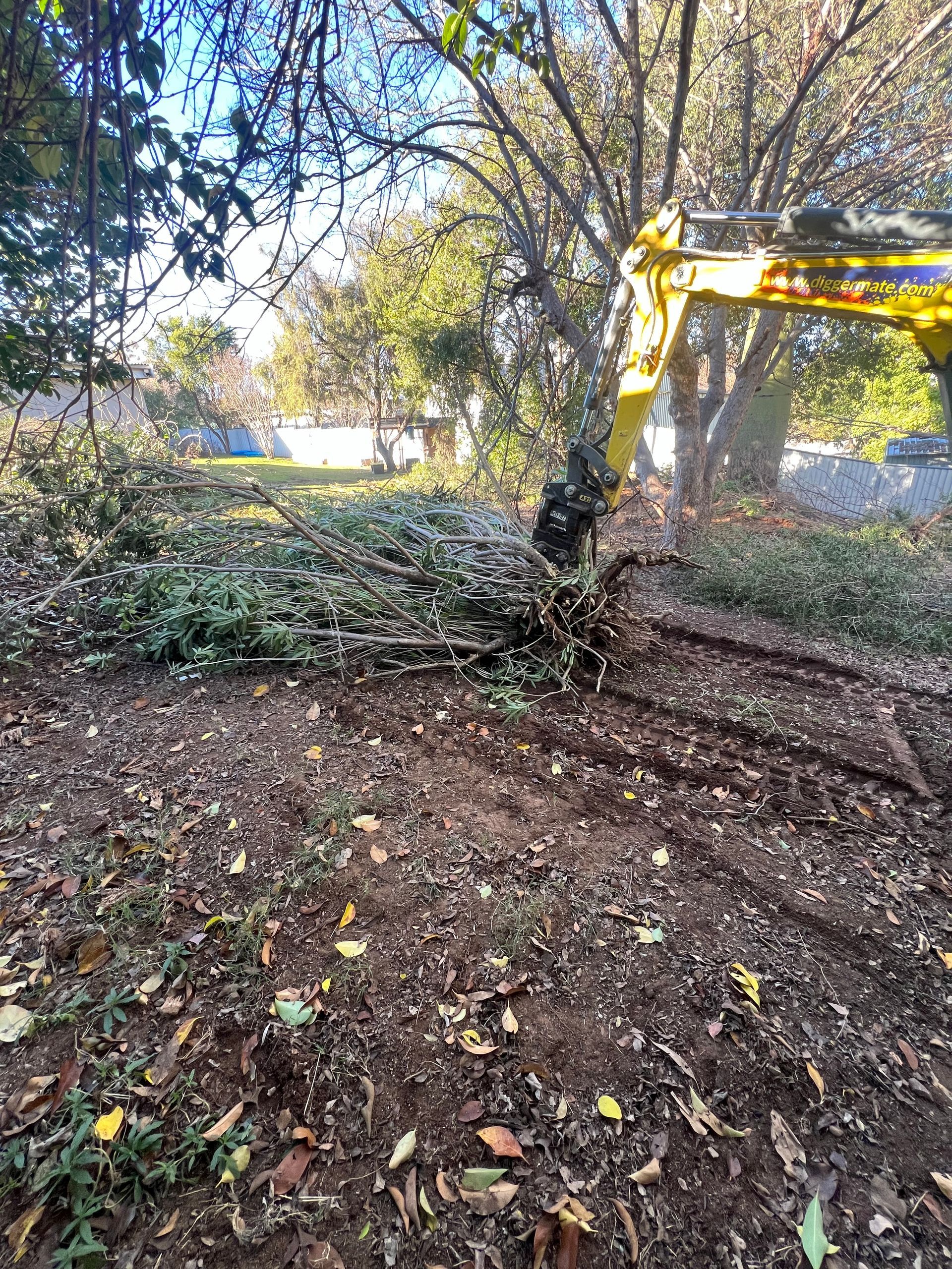 Yellow excavator clearing brush in a yard with dirt and leaves.