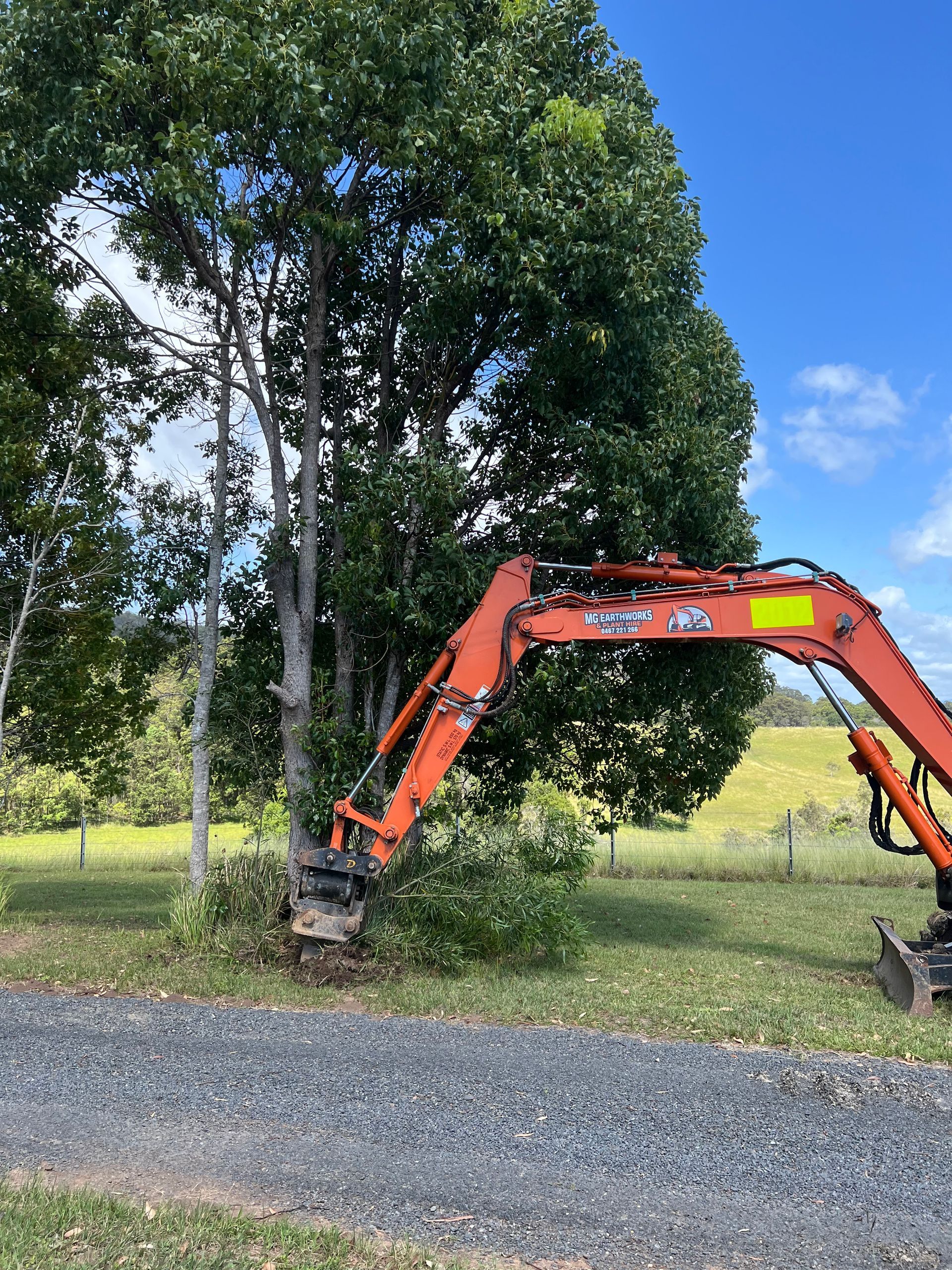 Orange excavator removing a tree; set on gravel near green grass and trees. Blue sky.