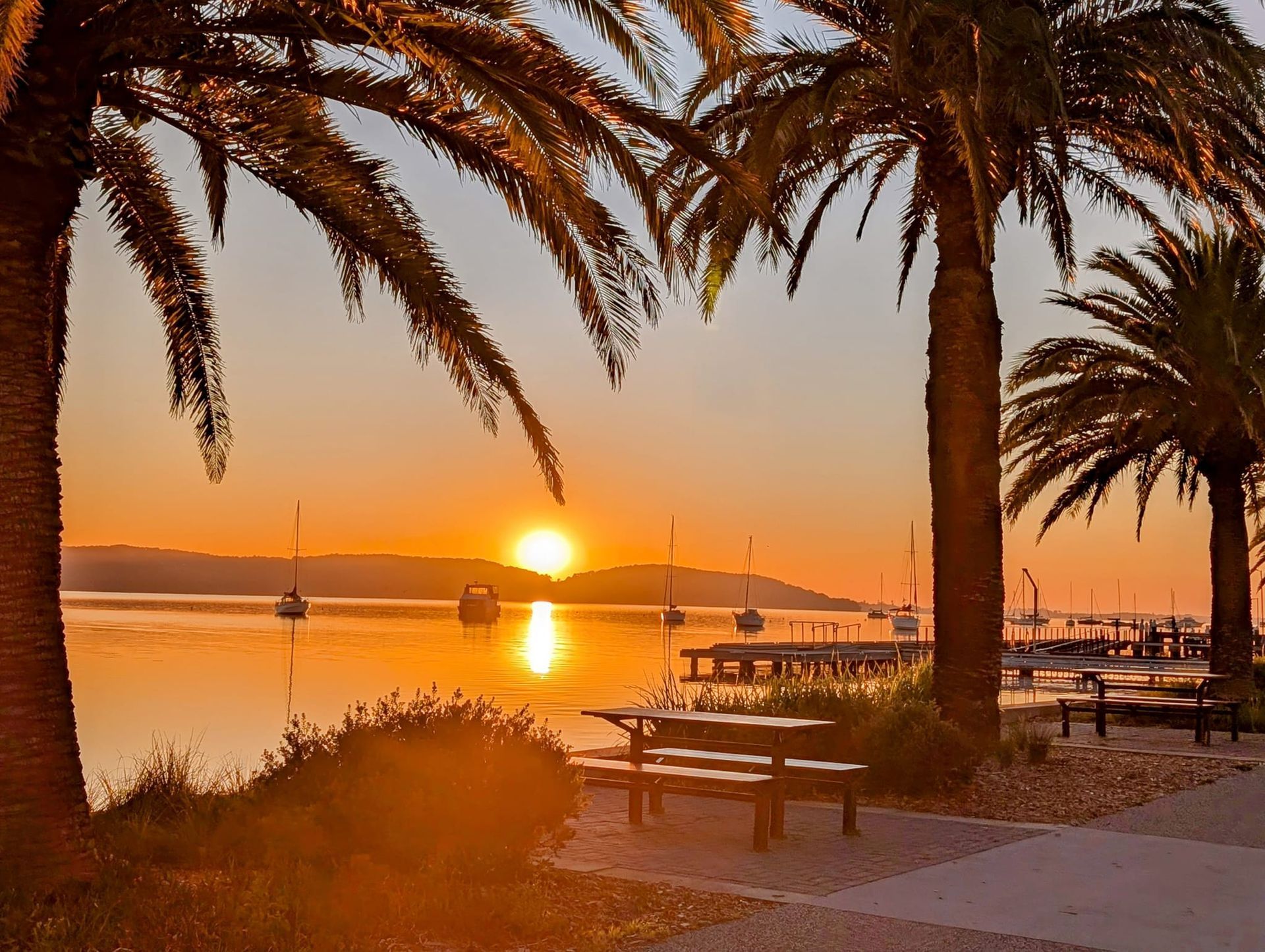 Sunset over a beach with palm trees, picnic tables, and calm water reflecting the orange sky