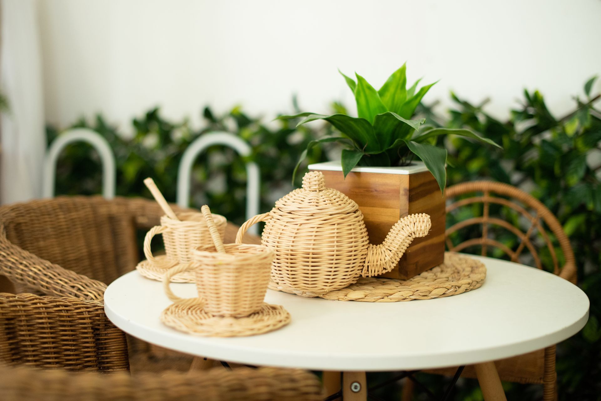 Wicker teapot set with plant on white table, surrounded by wicker chairs and greenery.