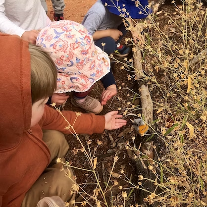 Children examining plants outdoors; one in orange hoodie points, others look closely.