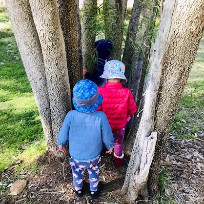 Children wearing hats and jackets, playing between tree trunks in a sunny outdoor setting.