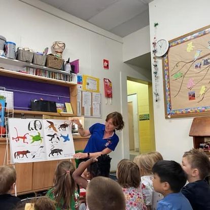 Teacher pointing at animal chart for students in a classroom setting.