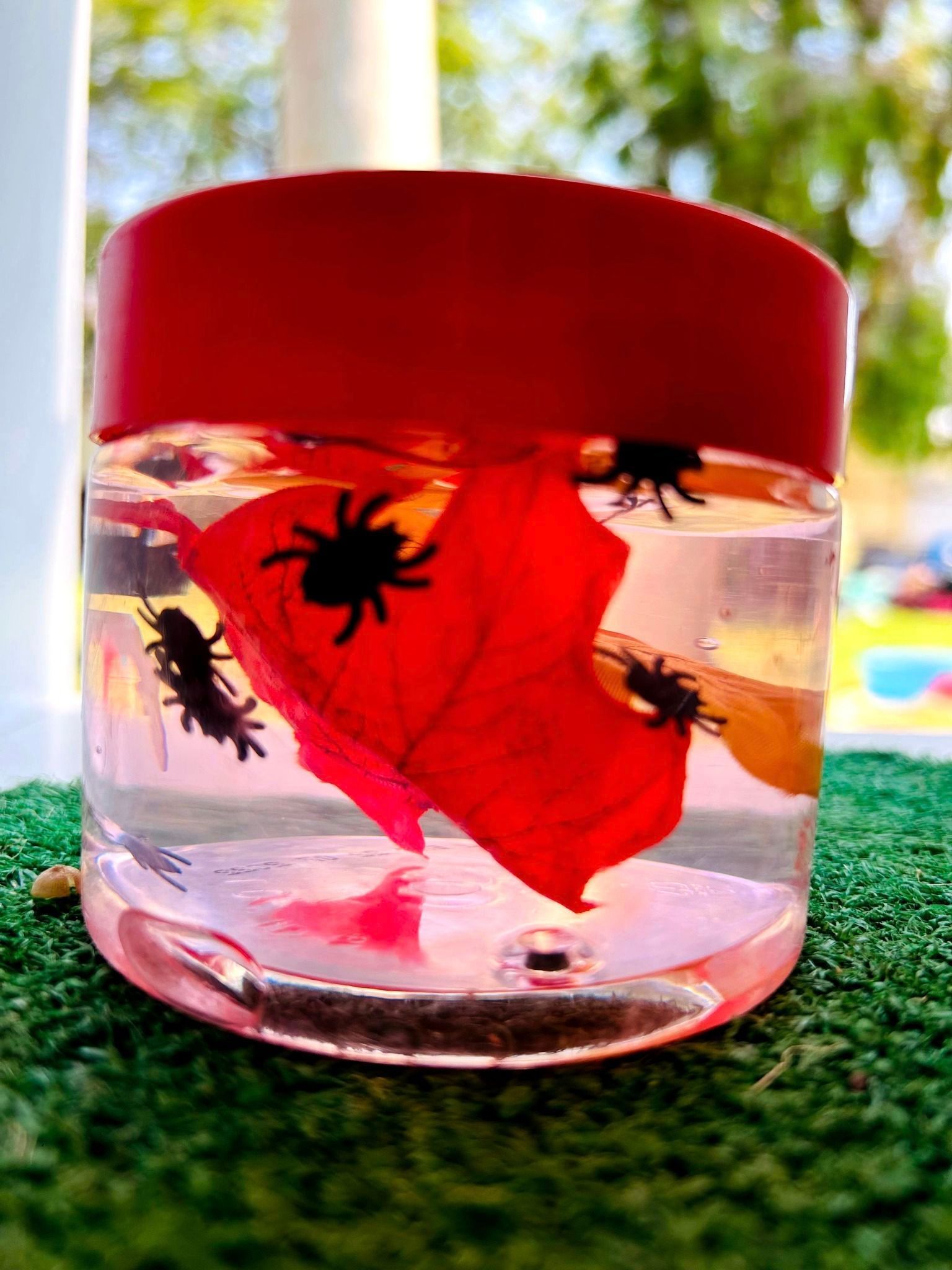 Jar with red lid filled with clear liquid, fake bugs and a red leaf.