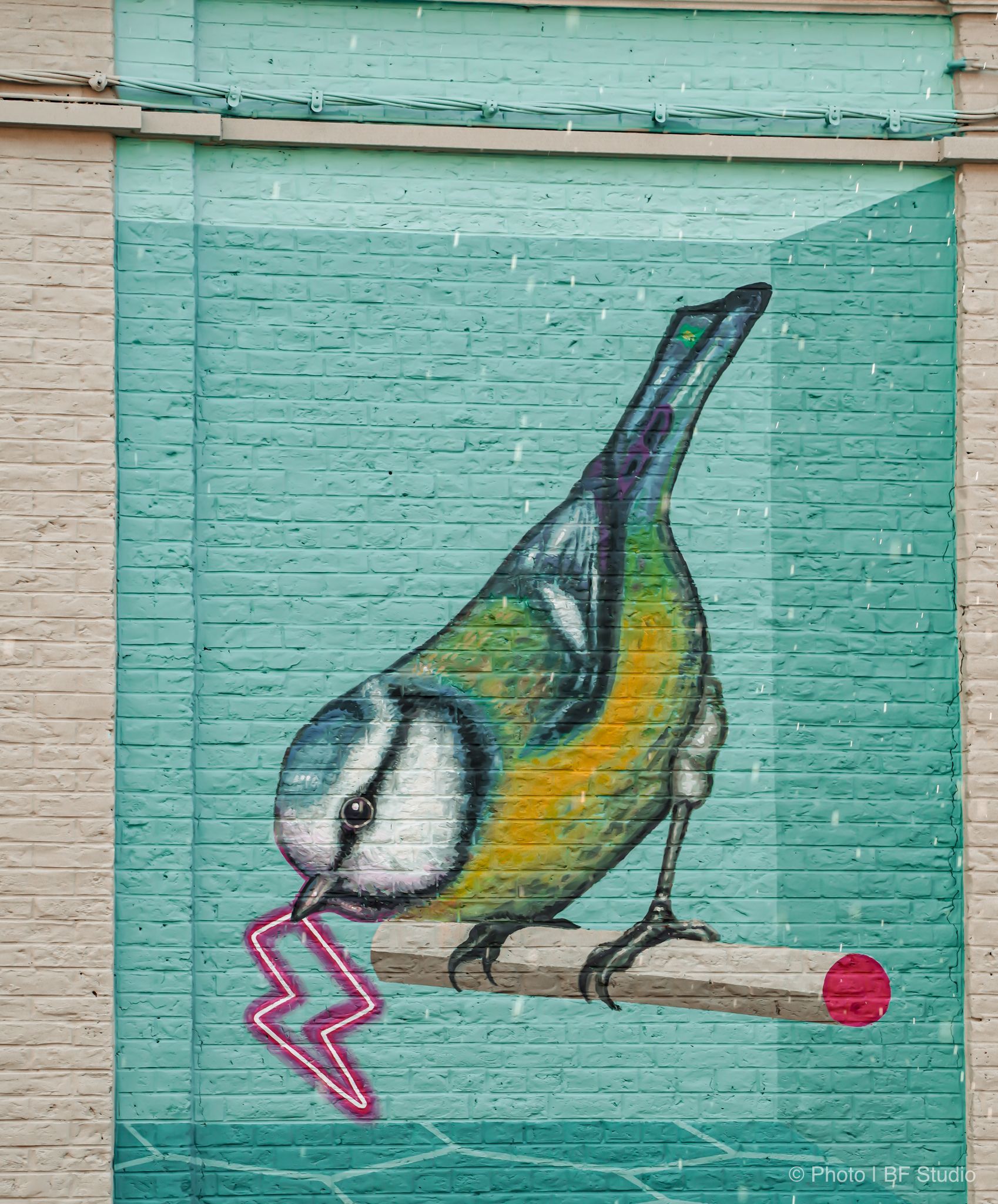 Fresque