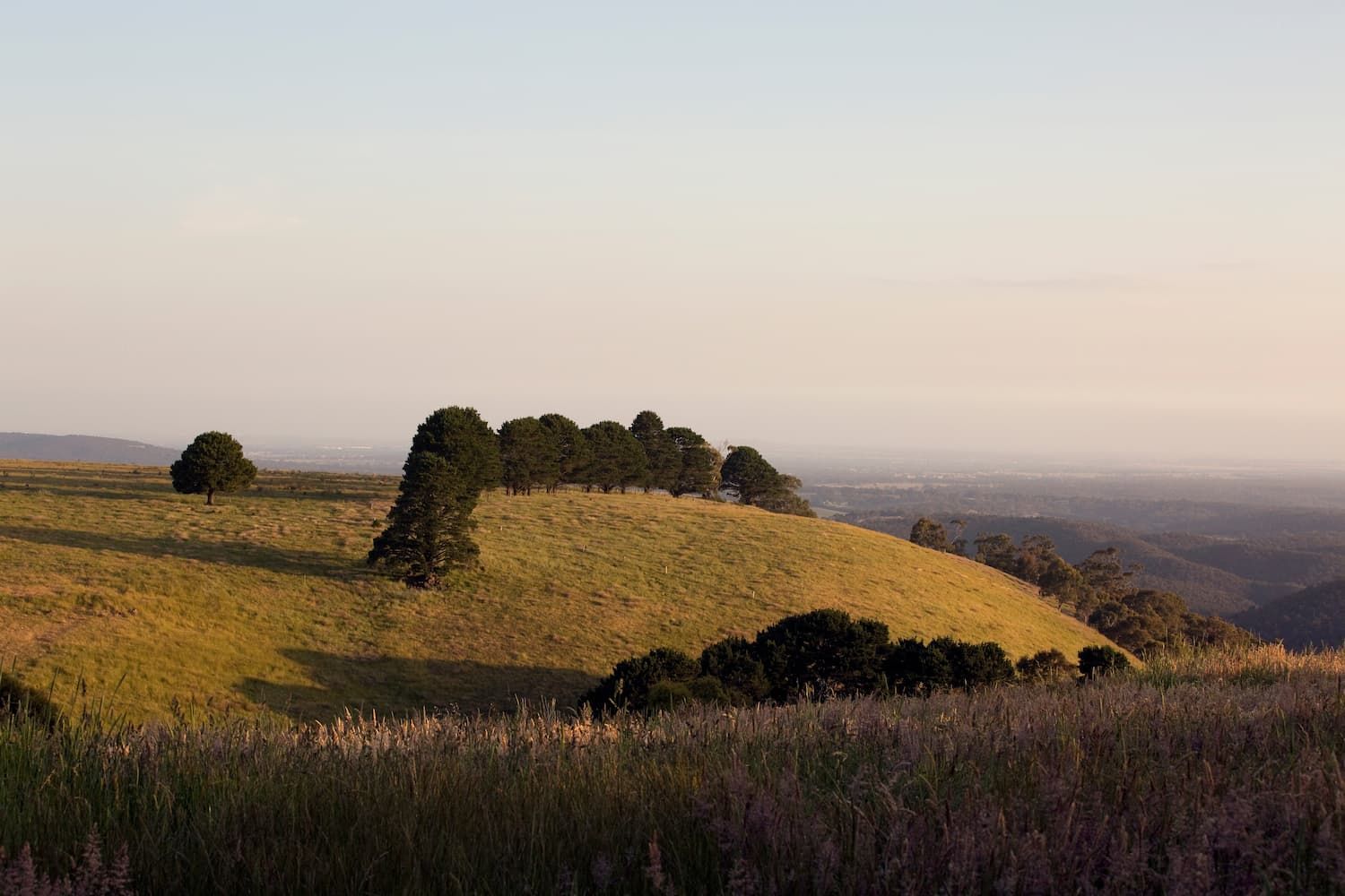 Lush Green Hillside With Trees — Blind Outfitters in Chillagoe, QLD