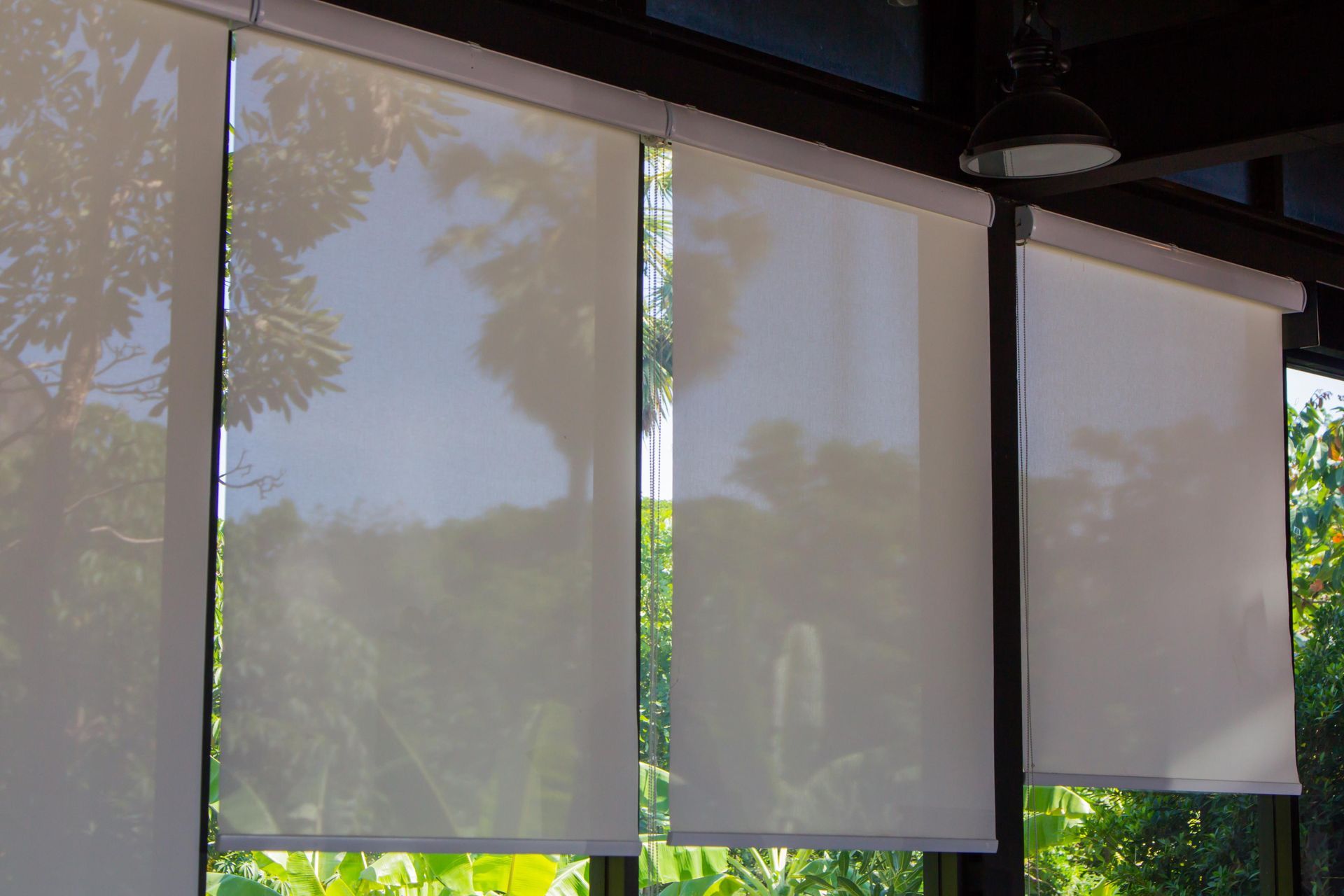 White Roller Blinds Partially Covering Large Window with Greenery Visible Through Window — Blind Outfitters in Atherton, QLD