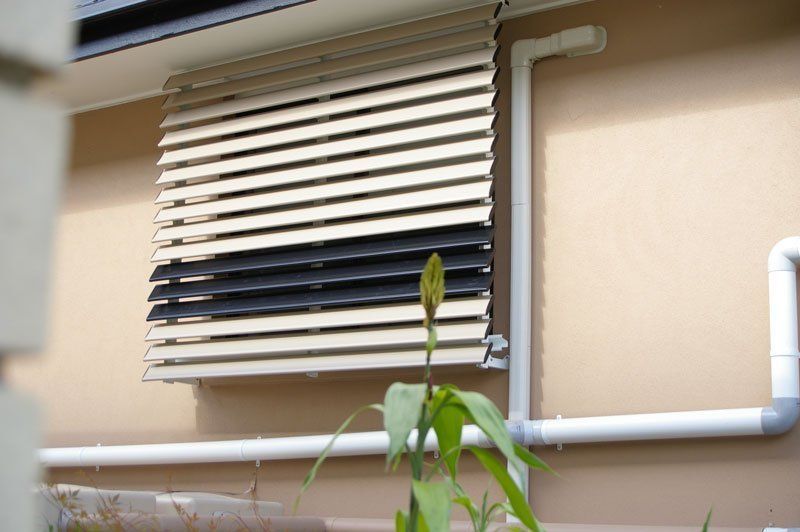 Plant is Growing on the Side of a Building — Blind Outfitters in Atherton, QLD
