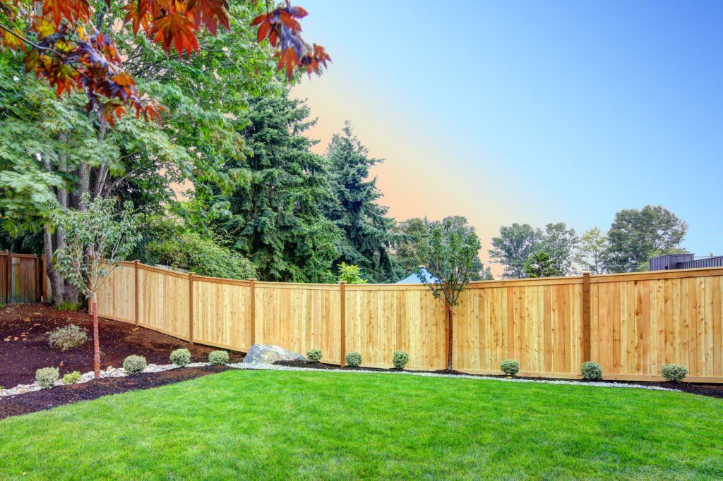 A wooden fence surrounds a lush green lawn in a backyard.