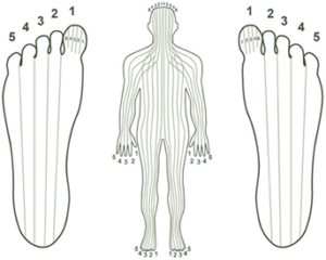 Zones