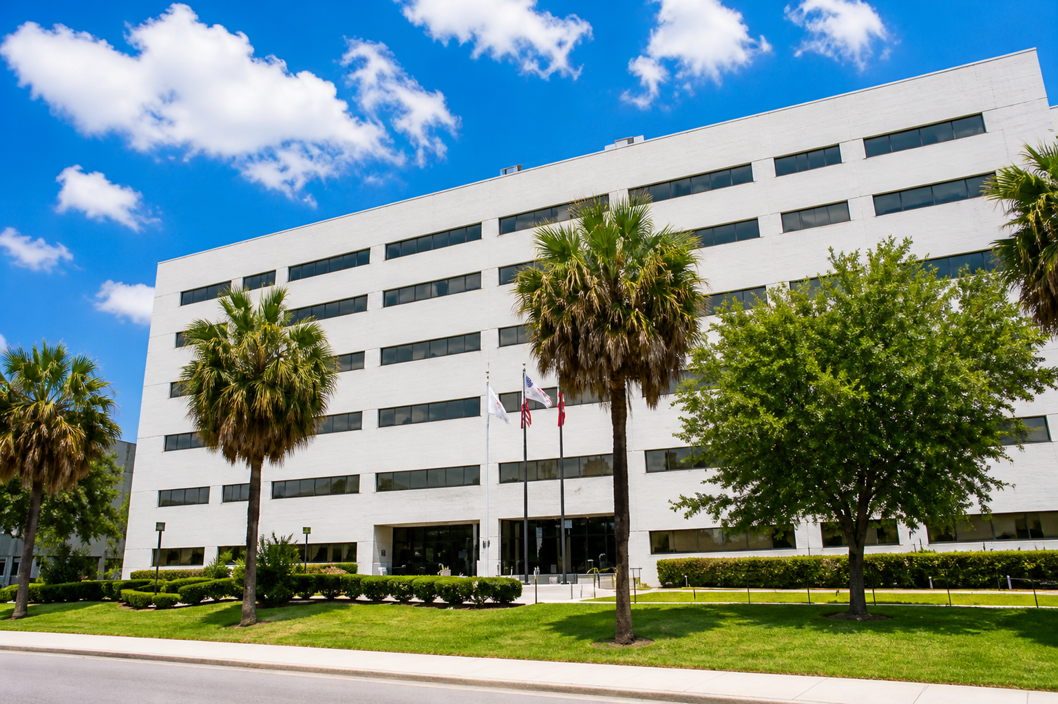 Savannah Georgia Process Serving