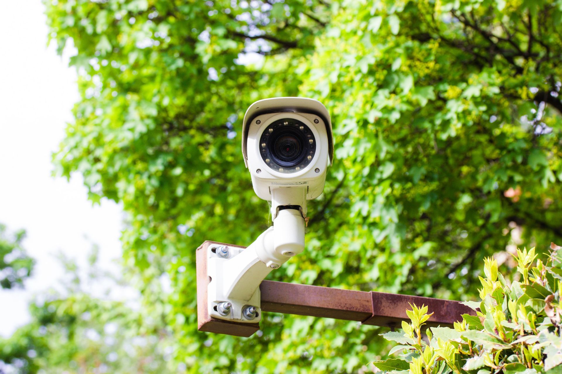 Security camera mounted on a wooden post, with green foliage in the background.