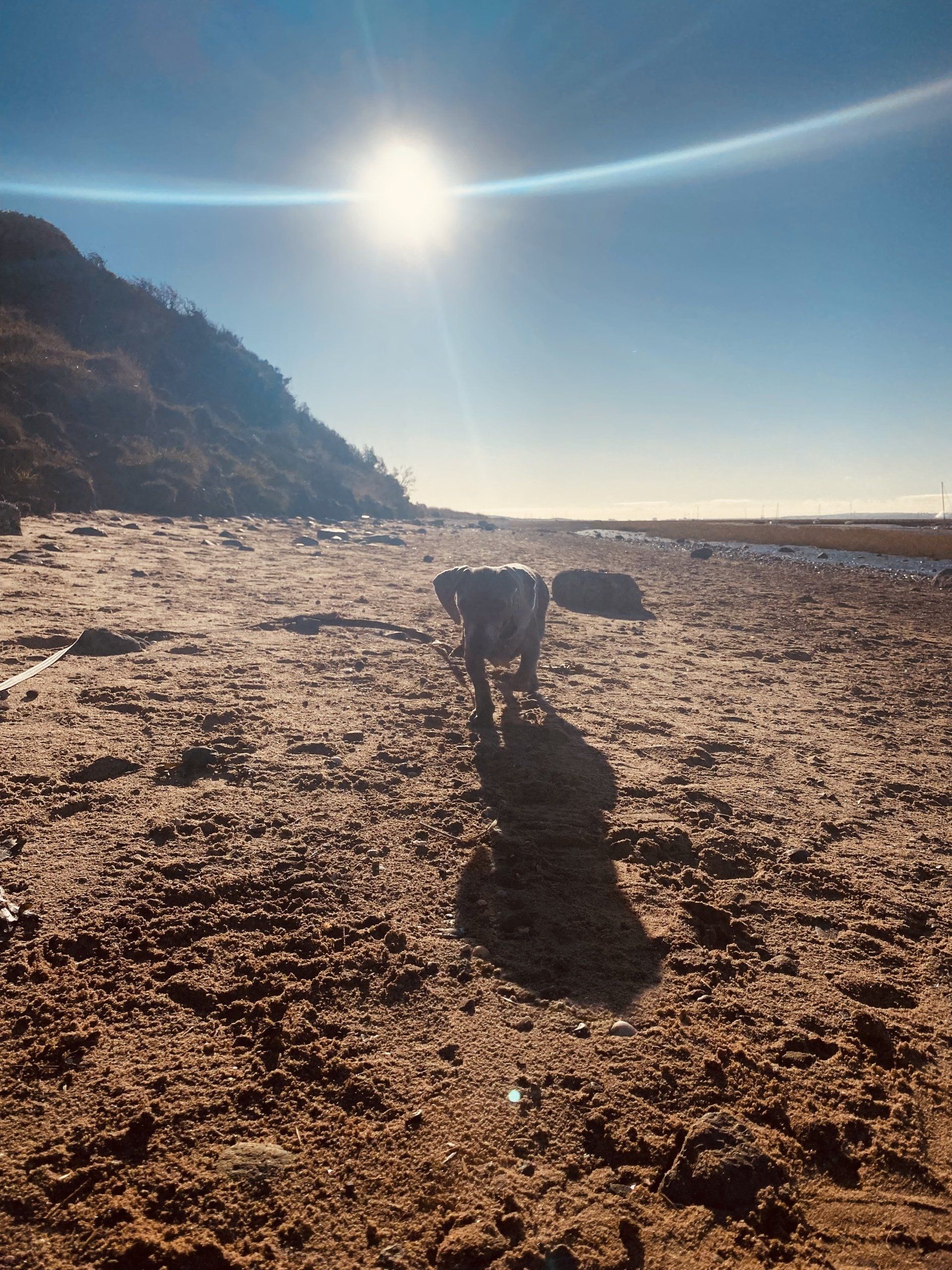 Walks on the Wirral
