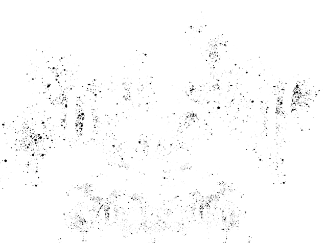 Rockstar Fitness Club Logo
