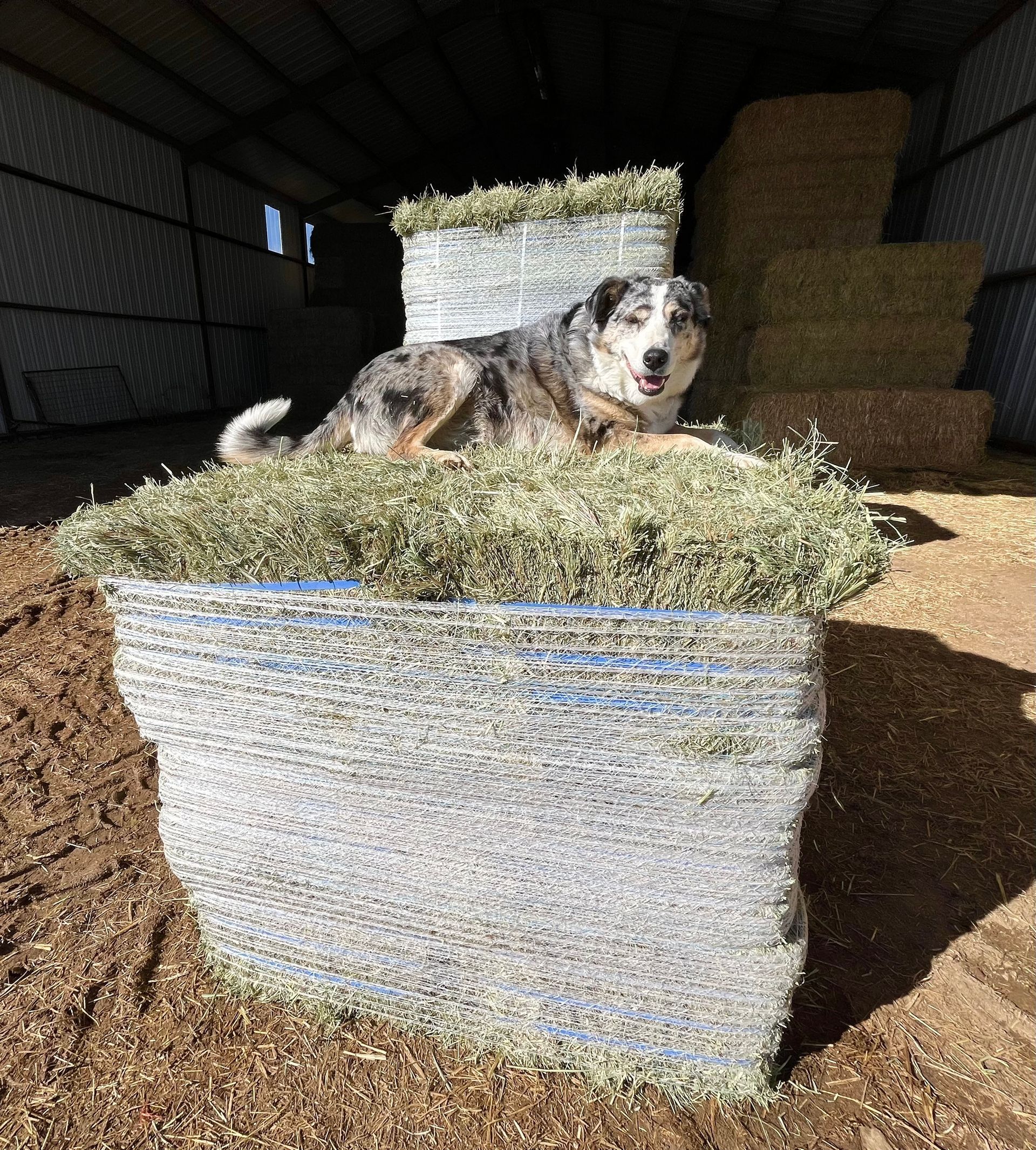 NEW!!  18 Bale Bundles