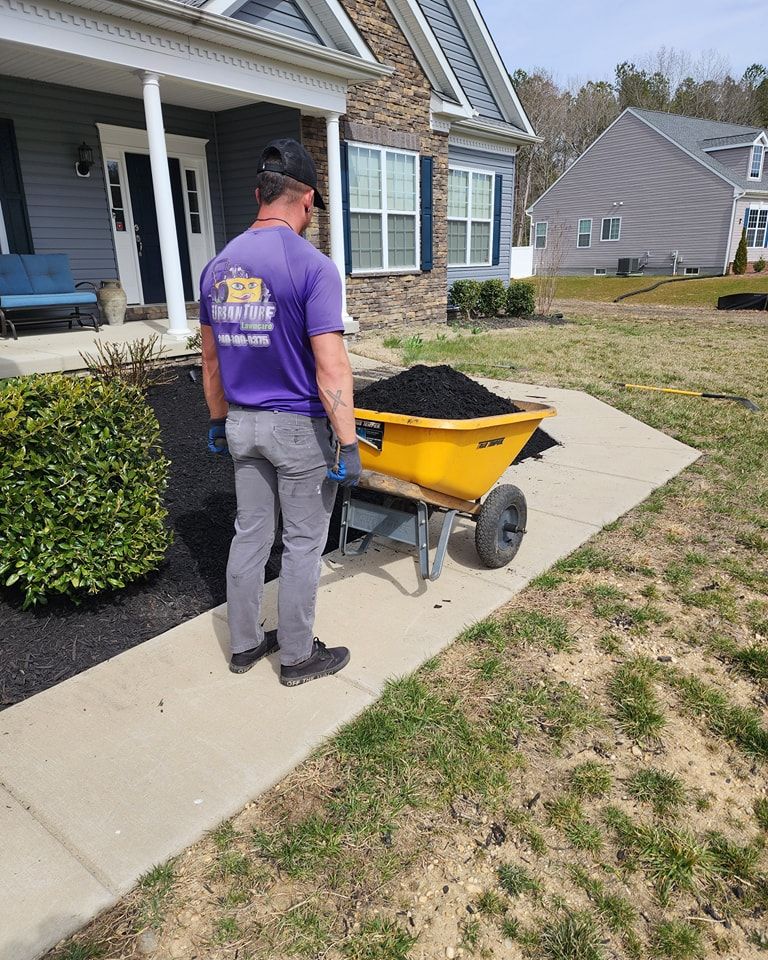Man in purple shirt with wheelbarrow of mulch near a house.