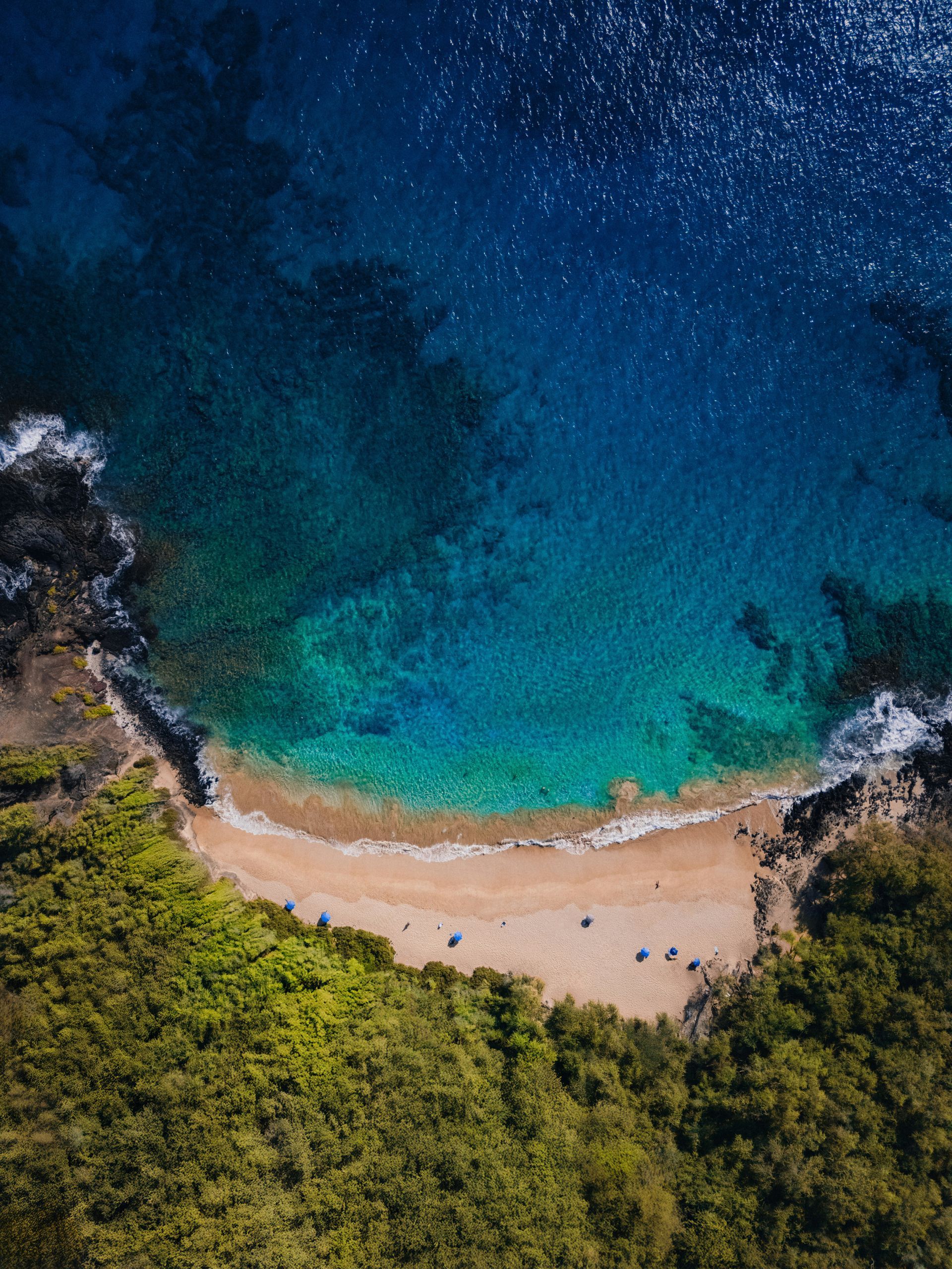 Aerial view of a secluded sandy beach bordered by dense green forest and clear turquoise water at night.