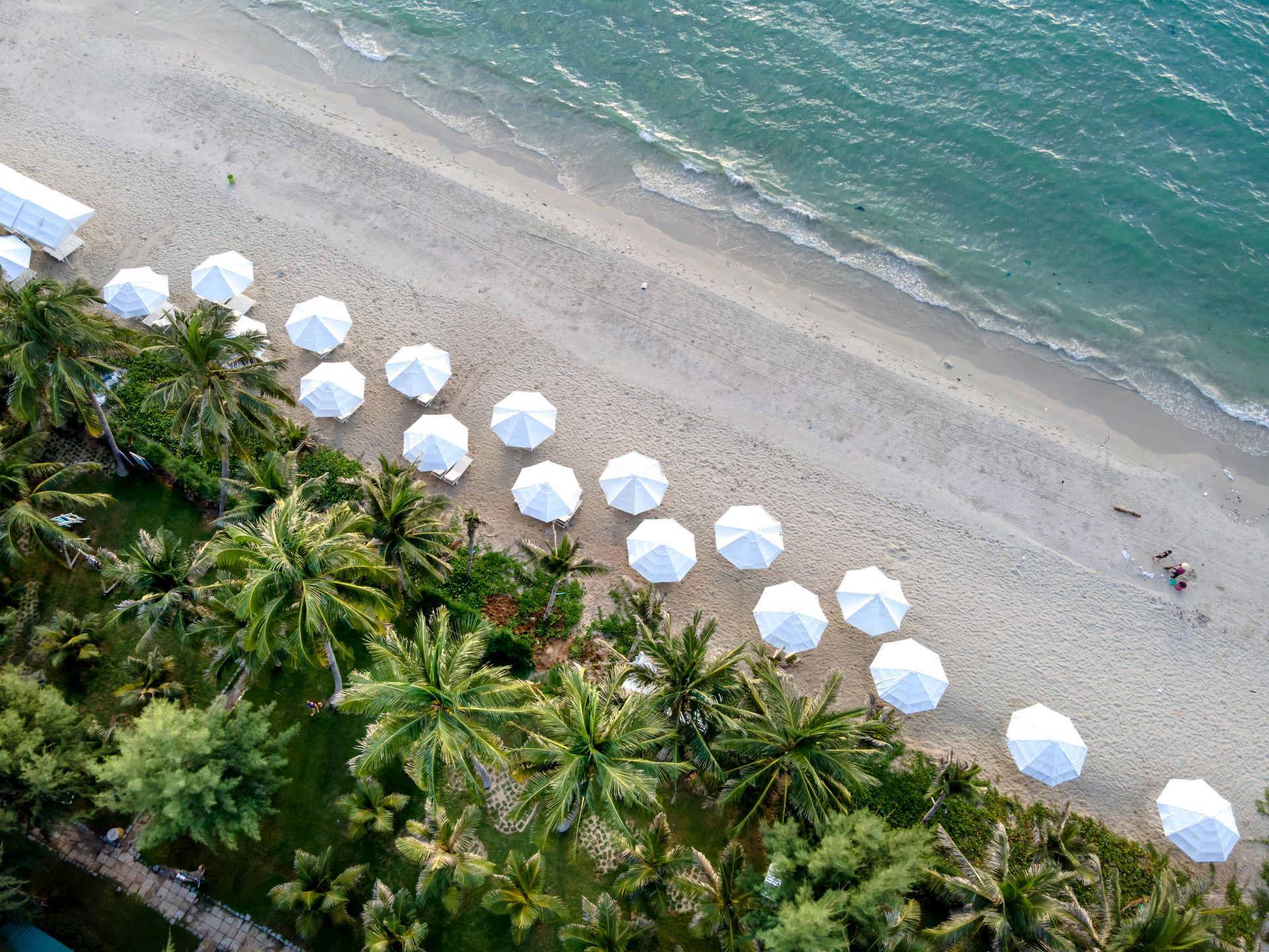 Aerial view of a beach with white umbrellas, palm trees, and turquoise water along the shore.