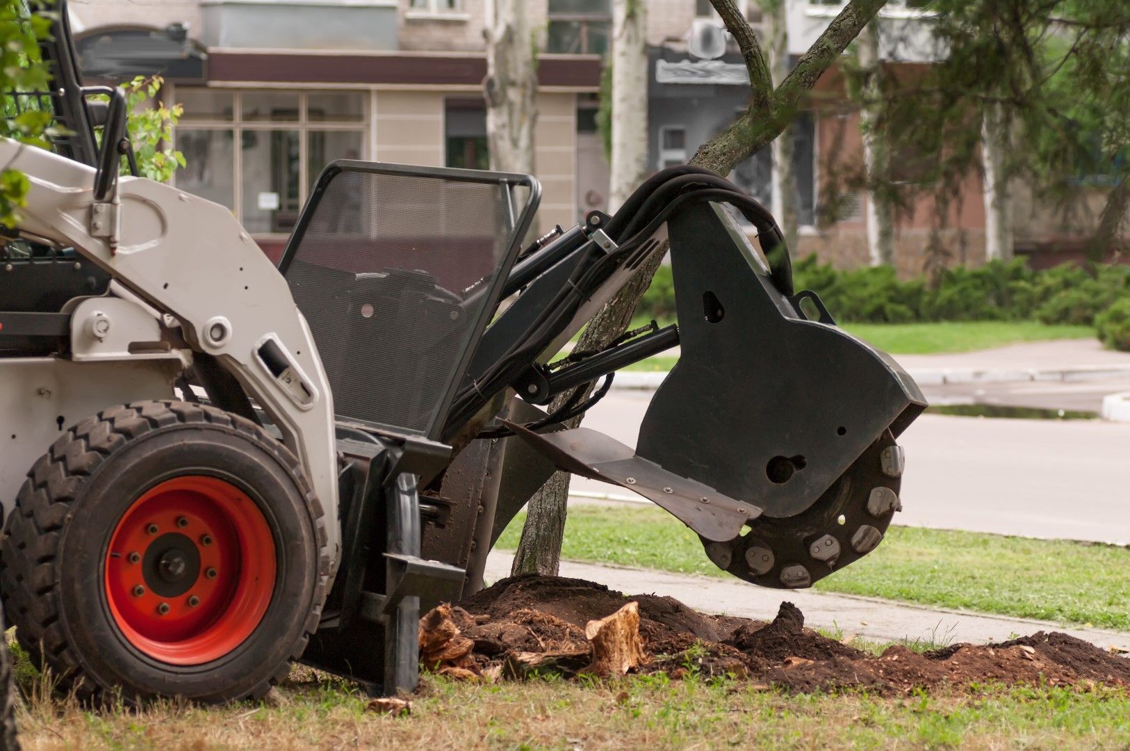 A bobcat is stump grinding a tree in a yard.