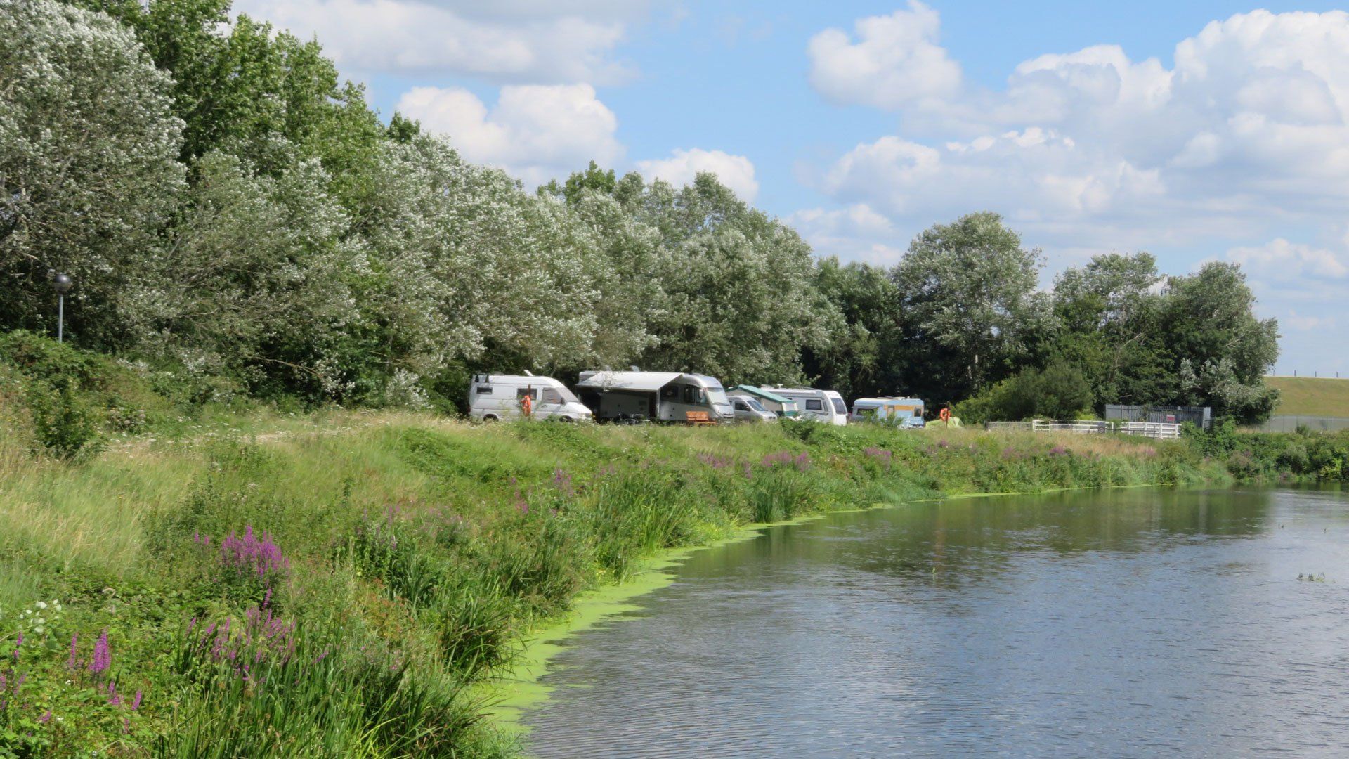 Walton on Thames Campsite, Surrey Walton on Thames Campsite, Surrey
