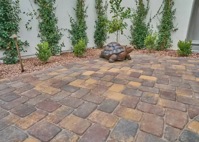 Stone turtle statue on a brick patio with greenery and a white wall backdrop.