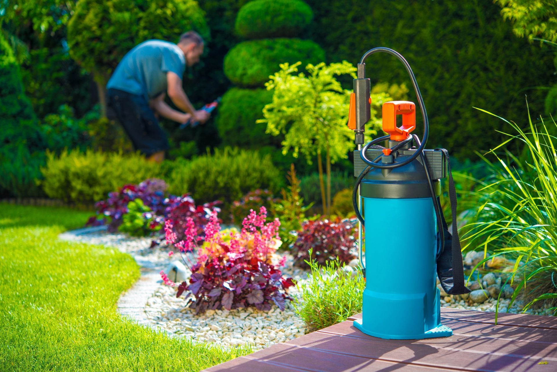 Lawn Pest Control in Fontana, CA Lawn Pest Control in Fontana, CA