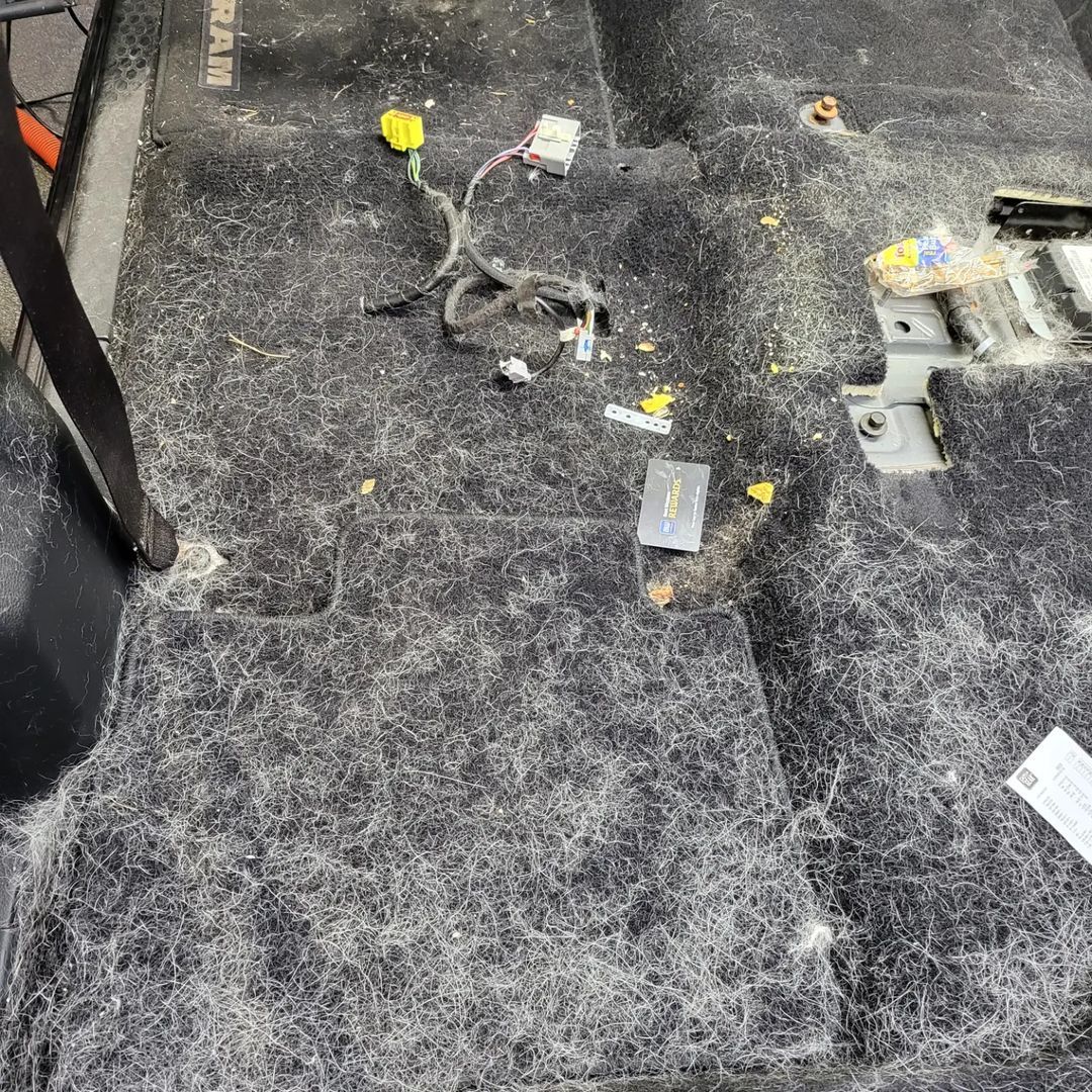 A close up of a dirty car floor with a lot of hair on it.