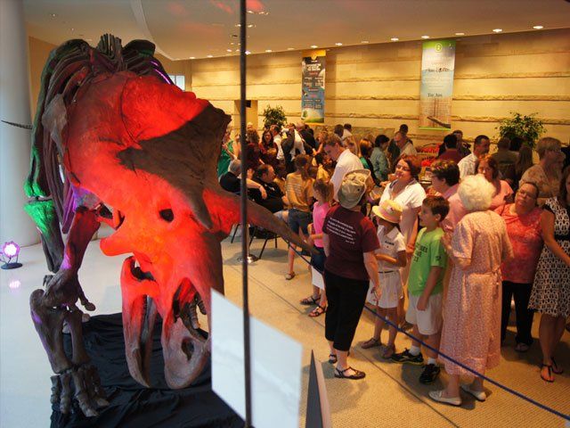 Triceretops Skeleton on display