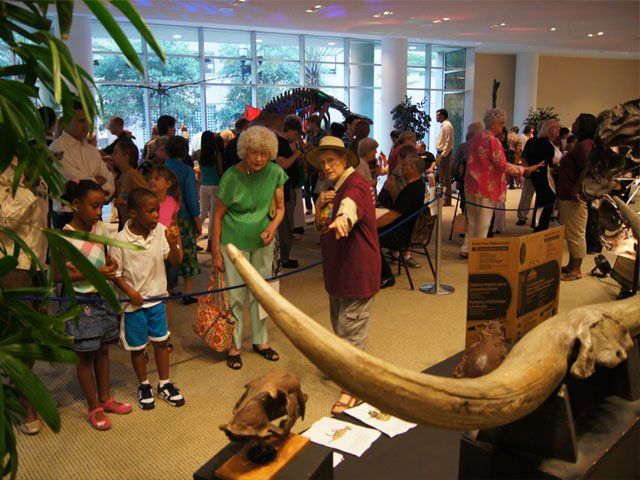 students looking at bison display