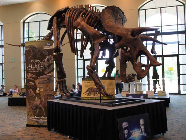Triceretops Skeleton on display