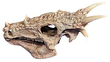 Dracorex model skull