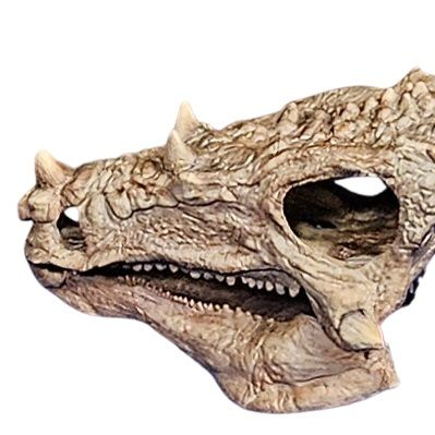 Dracorex model skull