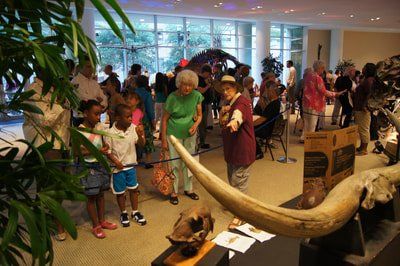 kids looking Dino skeletons in foyer
