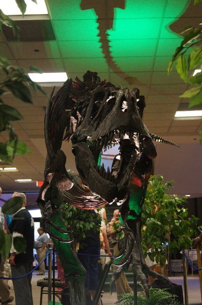 Albertosaurus skeleton ready to bite you
