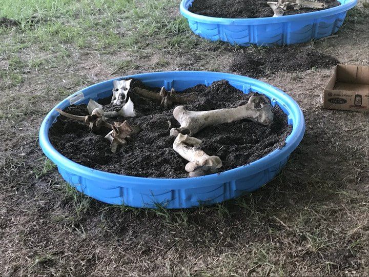 VBS dino dig in kiddy pool