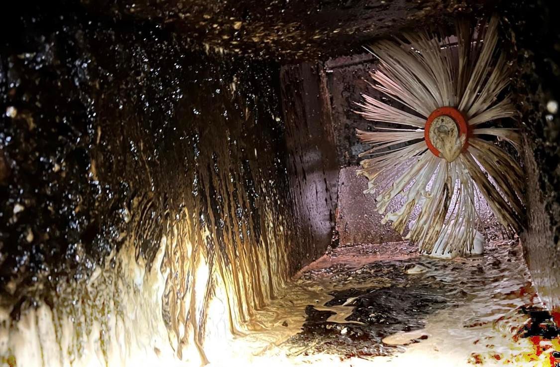 Une pièce sale avec une brosse au milieu.