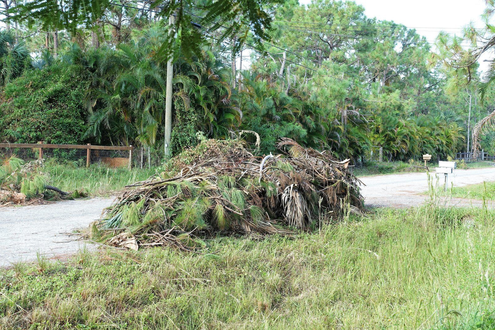 A pile of wood is sitting on the side of a road.