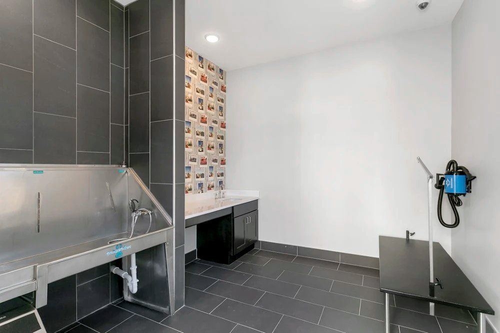 Empty modern washroom with dark tiled floor, white walls, sink, and wall-mounted cleaning equipment at Haven on Tucker Apartments in Louisville, KY.