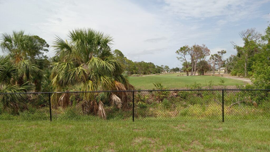 Grassy field with palm trees and a wire fence under a partly cloudy sky