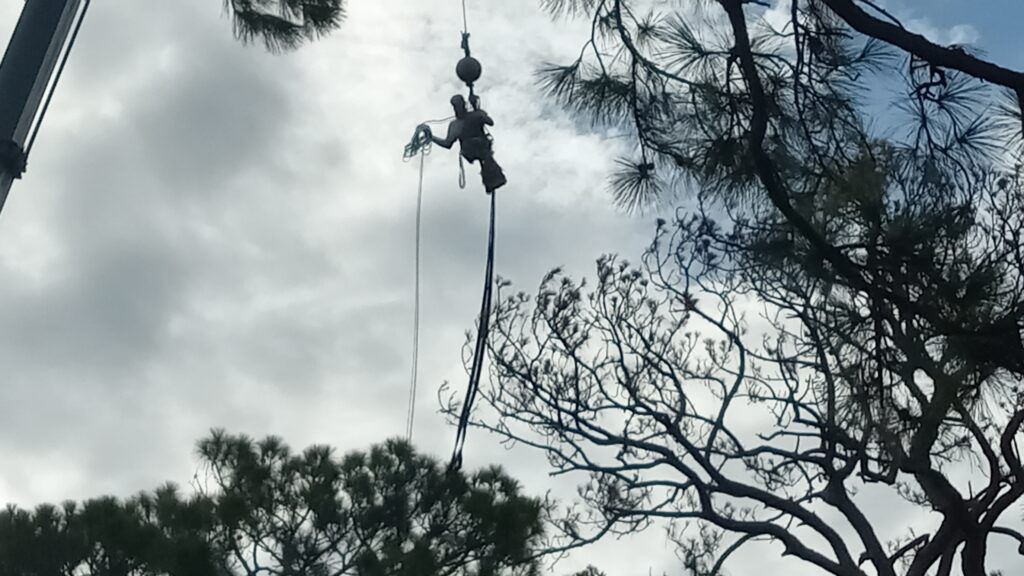 Person on a rope swing high among tree branches against a cloudy sky