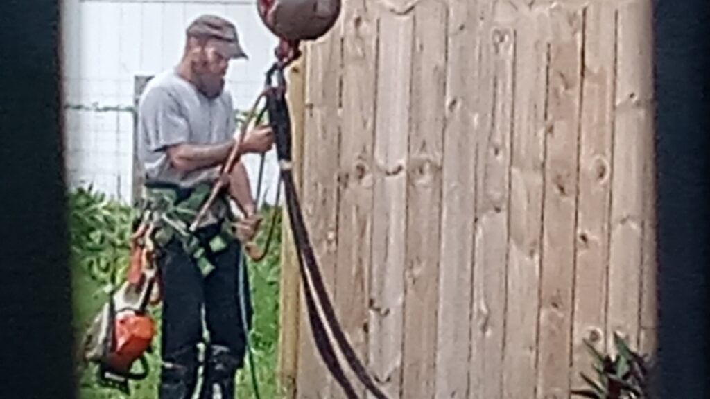 Worker in safety gear using a rope tool beside a wooden fence in a backyard.