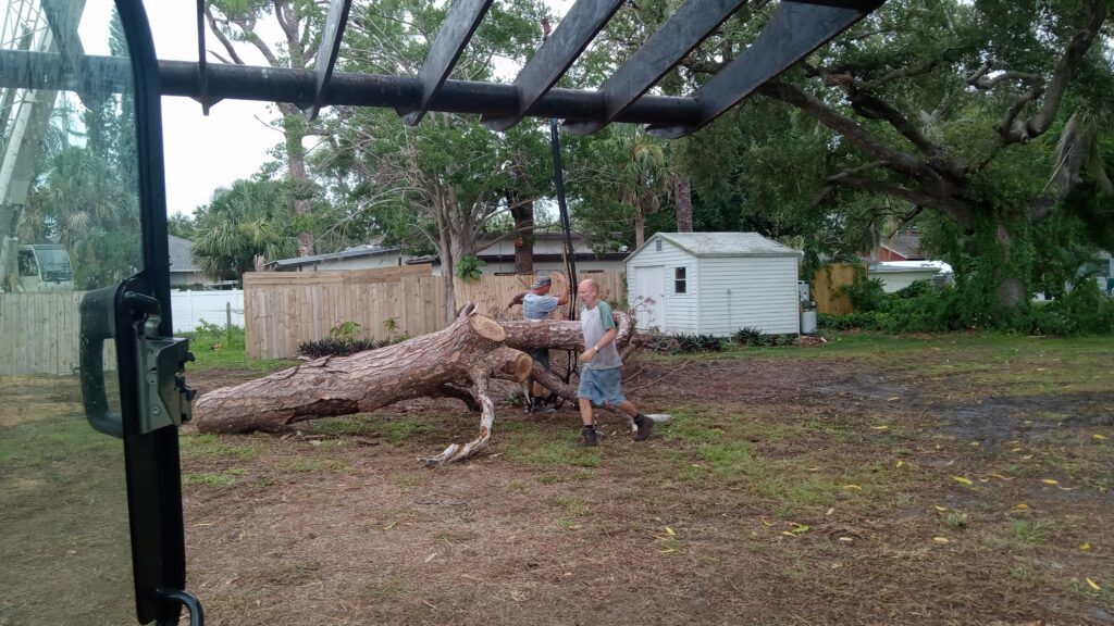 People posing beside a fallen tree in a muddy backyard under large trees after a storm