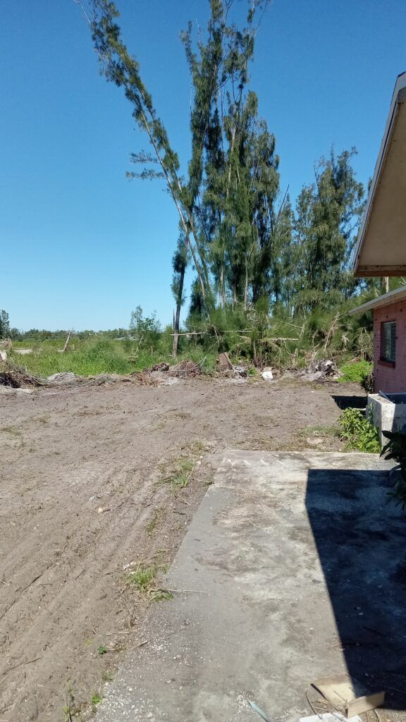 Rural yard with dirt and concrete paths, tall trees, and a house edge under a clear blue sky