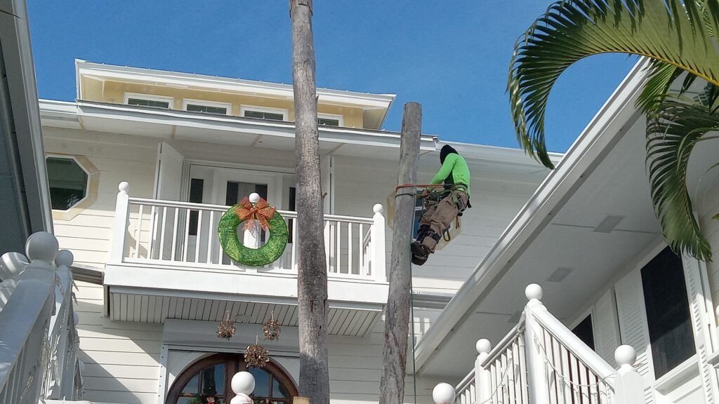 Two parrots perched on white railings outside a white house under a blue sky