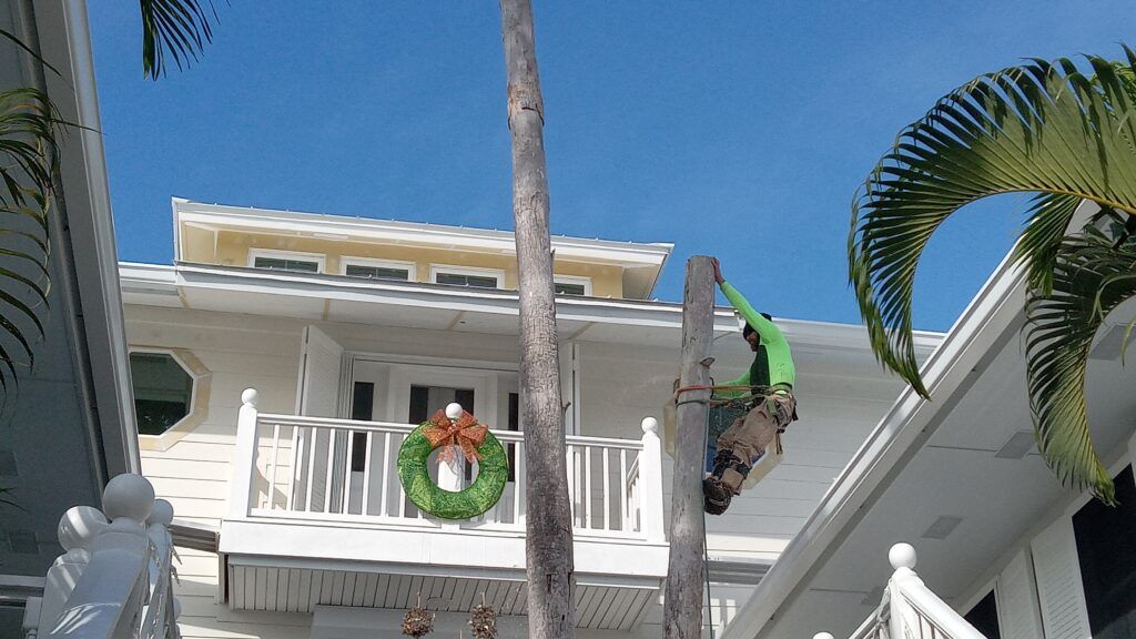 Person hanging a green wreath on a white house porch with palm trees overhead