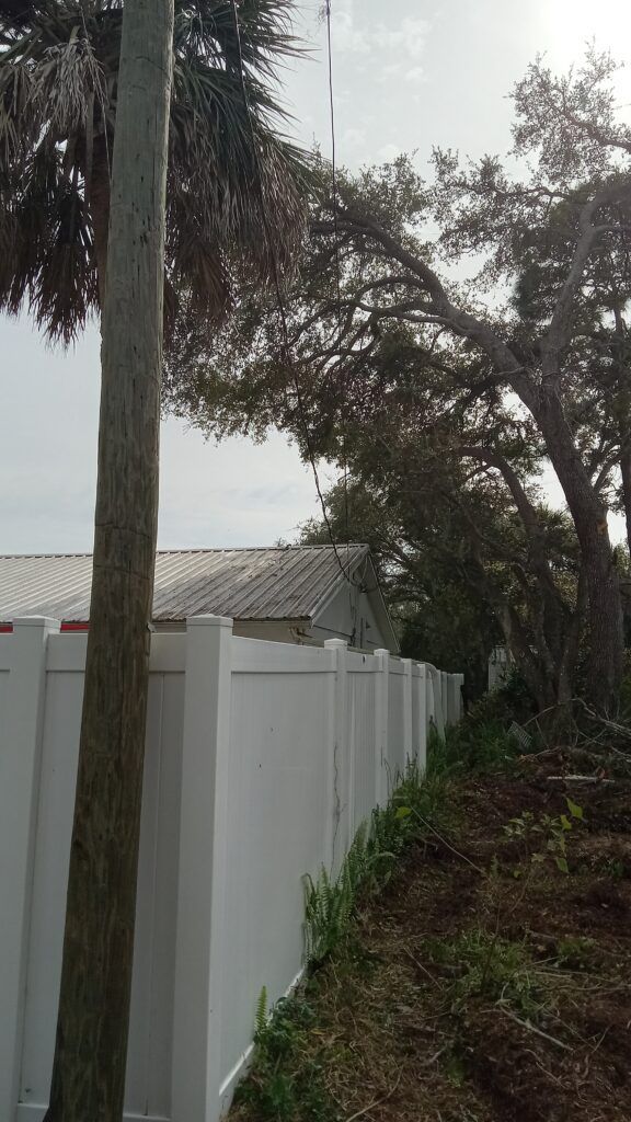 White fence beside a tree-lined yard with a house roof in the background under overcast sky
